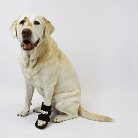 Walkin’ Bootie Dog Splint - Pets Own Us - Wheels4Dogs - SPLINTS-BOOTIE-A-XS United Kingdom