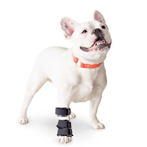 Walkin’ Carpal Dog Splint - Pets Own Us - Wheels4Dogs - SPLINTS-CARPAL-A-XS United Kingdom