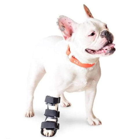 Walkin’ Front Pet Splint - Pets Own Us - Wheels4Dogs - SPLINTS-FR-WWF1-XXS United Kingdom