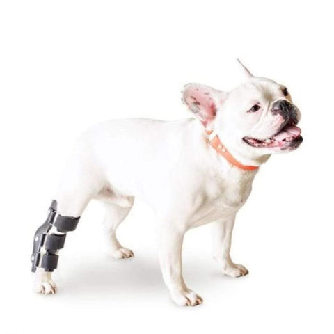 Walkin’ Hock Dog Splint - Pets Own Us - Wheels4Dogs - SPLINTS-HOCK-A-XS United Kingdom