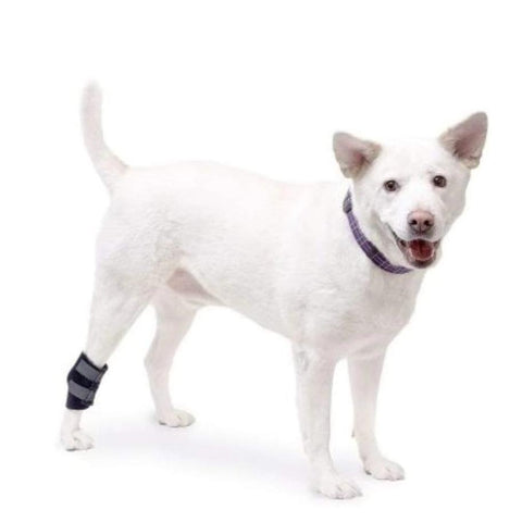 Walkin’ Hock Dog Wrap (Rear Only) - Pets Own Us - Wheels4Dogs - HOCKHOLDER1-S United Kingdom