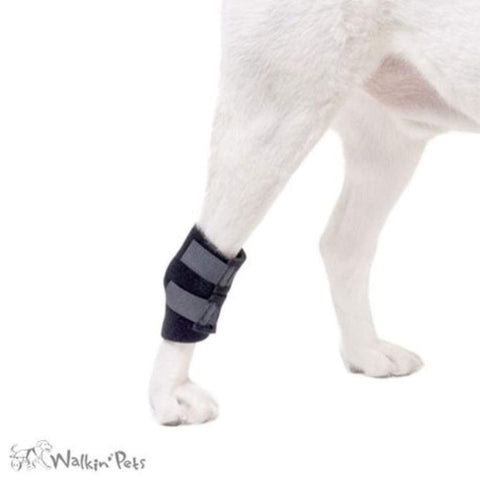 Walkin’ Hock Dog Wrap (Rear Only) - Pets Own Us - Wheels4Dogs - HOCKHOLDER1-S United Kingdom