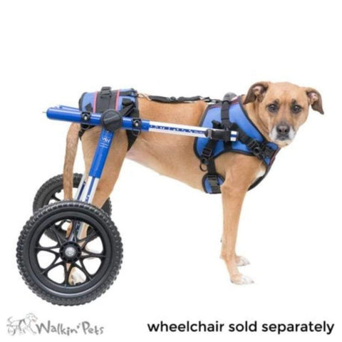 Walkin’ Lift Combo Dog Harness – Rear - Pets Own Us - Wheels4Dogs - United Kingdom