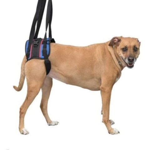Walkin’ Lift Combo Dog Harness – Rear - Pets Own Us - Wheels4Dogs - United Kingdom