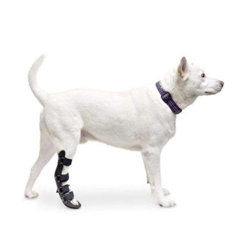 Walkin’ Rear Pet Splint - Pets Own Us - Wheels4Dogs - SPLINTS-RE-WWR1-XXS United Kingdom
