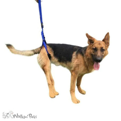 Walkin’ Rear Support Leash - Pets Own Us - Wheels4Dogs - United Kingdom