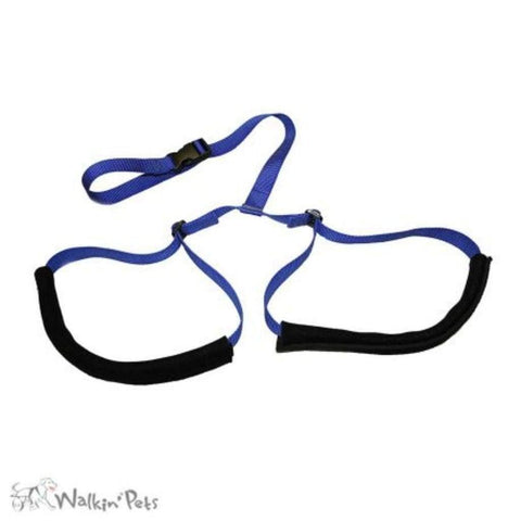 Walkin’ Rear Support Leash - Pets Own Us - Wheels4Dogs - United Kingdom