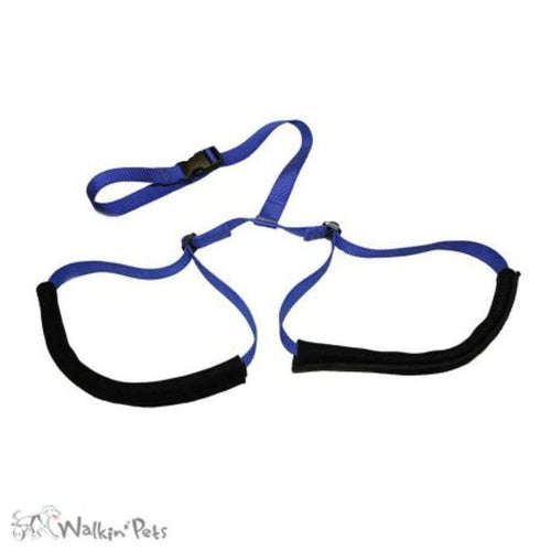 Walkin’ Rear Support Leash - Pets Own Us - Wheels4Dogs - United Kingdom
