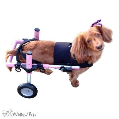 Walkin’ Small Front Dog Vest - Pets Own Us - Wheels4Dogs - FVMH1-S United Kingdom