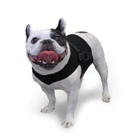 Walkin’ Small Front Dog Vest - Pets Own Us - Wheels4Dogs - FVMH1-S United Kingdom