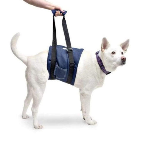 Walkin’ Support Dog Sling - Pets Own Us - Wheels4Dogs - HPSLING0-XS United Kingdom