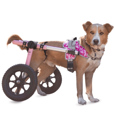 Walkin’ Warrior Front Harness - Pets Own Us - Wheels4Dogs - United Kingdom