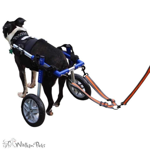 Walkin’ Wheelchair Dog Leash - Pets Own Us - Wheels4Dogs - United Kingdom