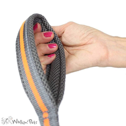 Walkin’ Wheelchair Dog Leash - Pets Own Us - Wheels4Dogs - United Kingdom