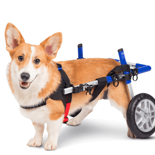 Walkin’ Wheels CORGI Dog Wheelchair - Pets Own Us - Wheels4Dogs - FC1-CORGI-68 United Kingdom