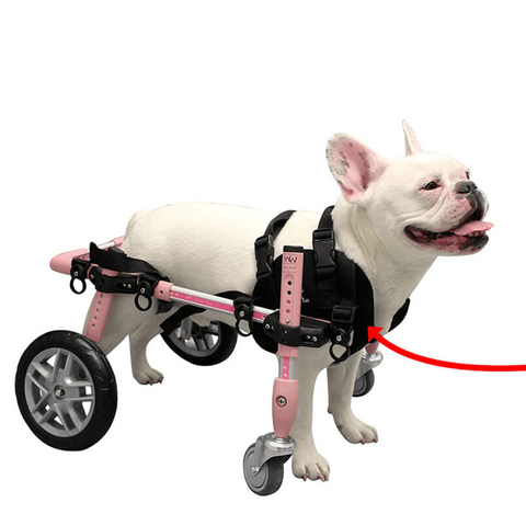 Walkin’ Wheels Front Neoprene Harness - Pets Own Us - Wheels4Dogs - United Kingdom