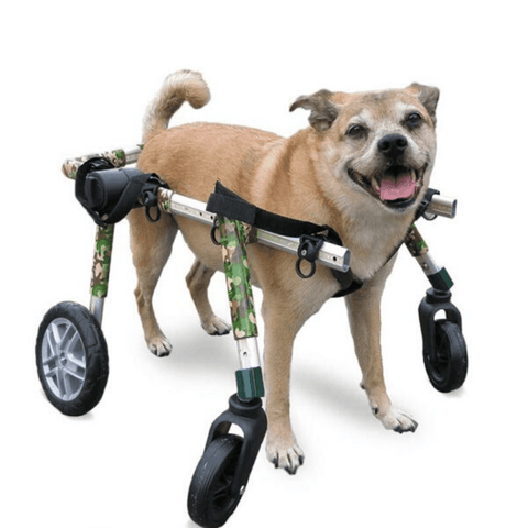 Walkin’ Wheels Full Support/4-Wheel MEDIUM - Pets Own Us - Wheels4Dogs - QC4-0604 United Kingdom
