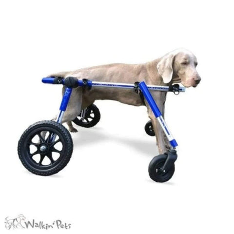 Walkin’ Wheels Full Support/4-Wheel MEDIUM - Pets Own Us - Wheels4Dogs - QC4-0604 United Kingdom