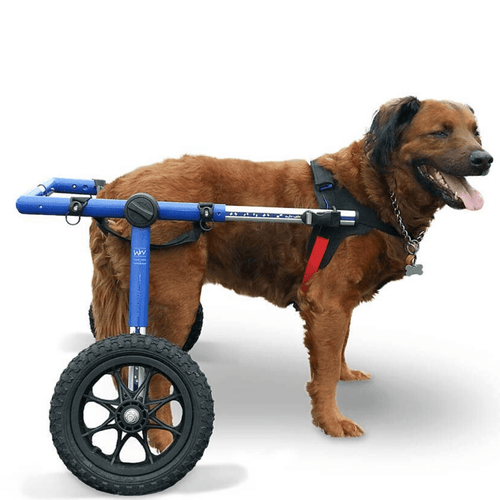 Walkin’ Wheels LARGE Dog Wheelchair, Rear - Pets Own Us - Wheels4Dogs - FC7-912 United Kingdom