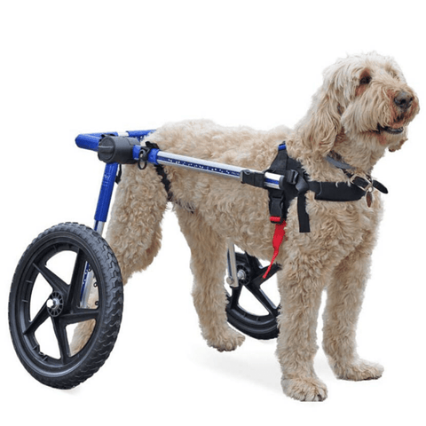 Walkin’ Wheels Med/Large Dog Wheelchair, Rear - Pets Own Us - Wheels4Dogs - FC4-912 United Kingdom