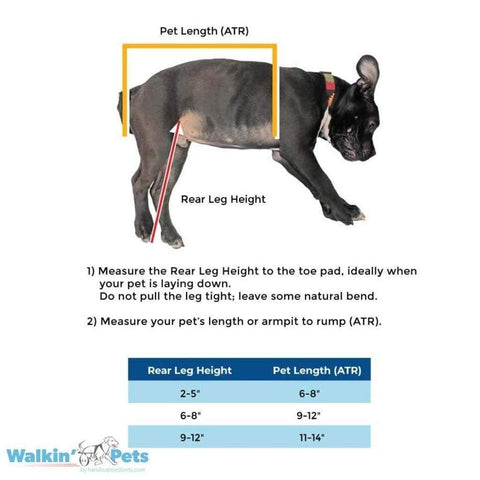Walkin’ Wheels MINI Dog Wheelchair, Rear - Pets Own Us - Wheels4Dogs - AA-301 United Kingdom