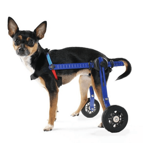 Walkin’ Wheels MINI Dog Wheelchair, Rear - Pets Own Us - Wheels4Dogs - AA-301 United Kingdom