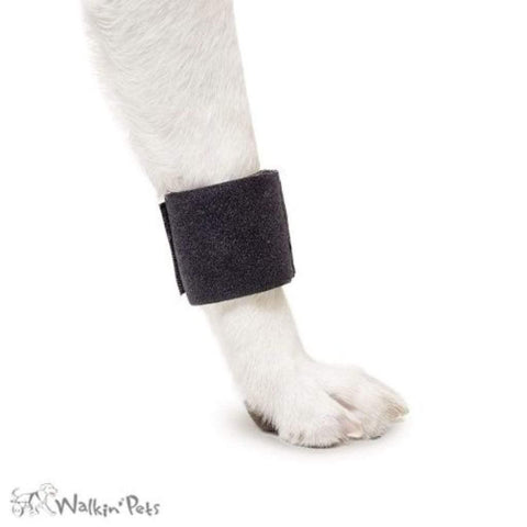 Walkin’ Wrist Wrap (Front Only) - Pets Own Us - Wheels4Dogs - United Kingdom
