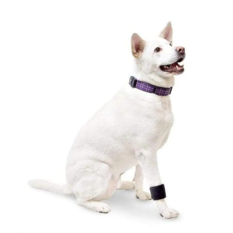 Walkin’ Wrist Wrap (Front Only) - Pets Own Us - Wheels4Dogs - United Kingdom
